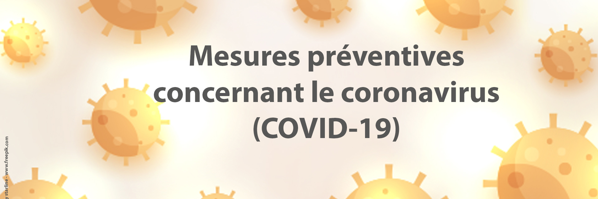 coronaFR_def